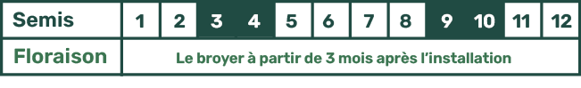 Picto Calendrier Trèfle