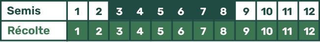 Picto Calendrier Mesclun mélange