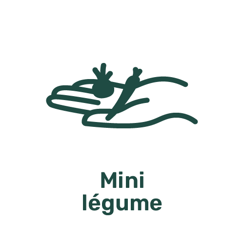Picto Mini légume