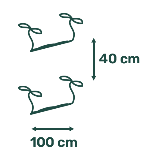 Picto Distance 100x40cm