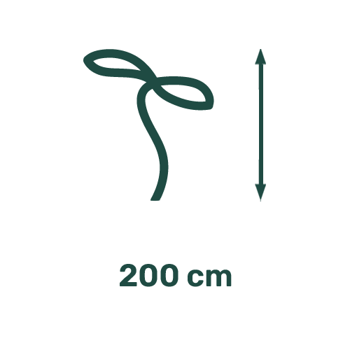 Picto Hauteur 200 cm