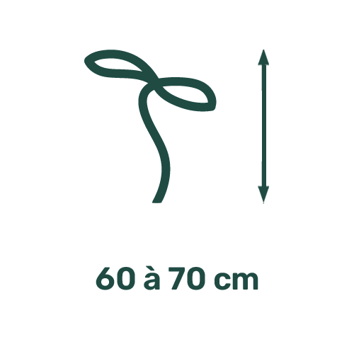 Picto Hauteur 60 à 70 cm