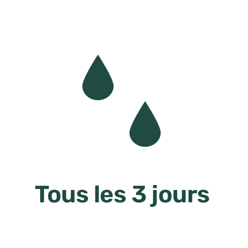 Picto Arrosage tous les 3 jours