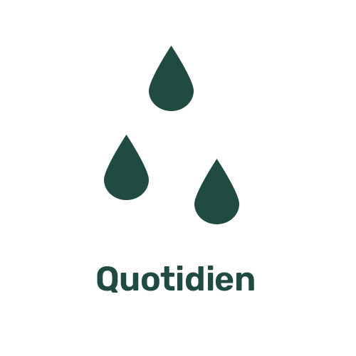 Picto Arrosage quotidien