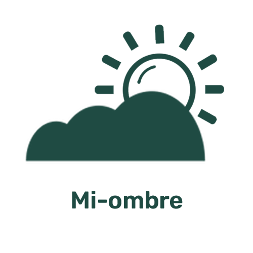 Picto mi-ombre