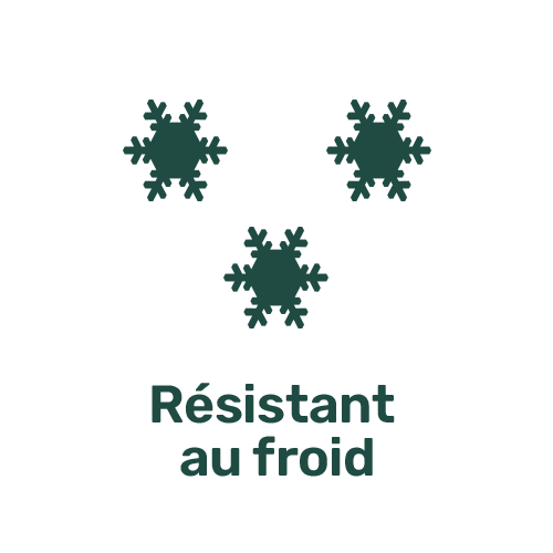 Picto Froid
